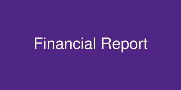 Financial Report placeholder image