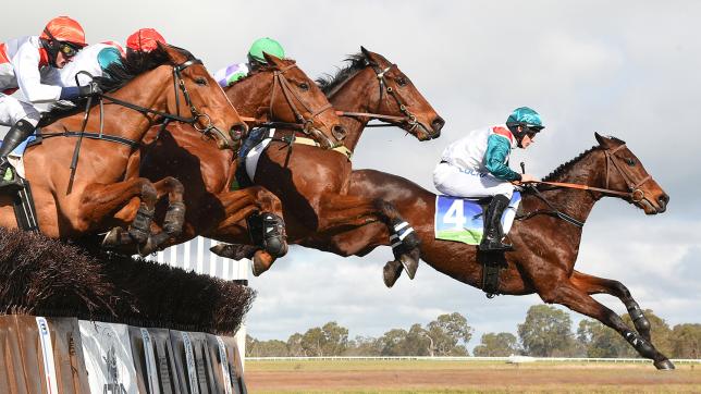 Four tips to excel as the subject leader of the pack