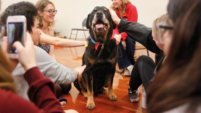 How to handle the teacher’s pet