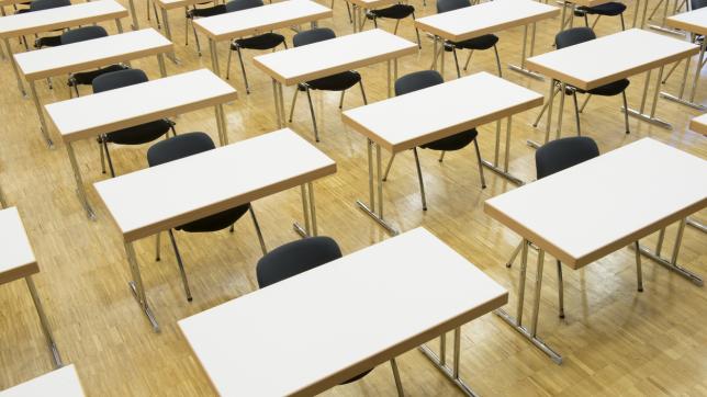 GCSEs and A levels 2021: Subject matter cut down for autumn exams, says Ofqual