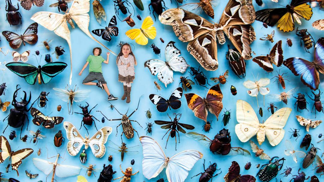 Magazine article image