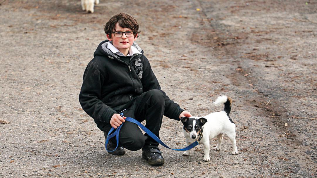 The school that's gone to the dogs