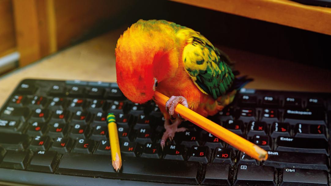 Do computers aid learning?