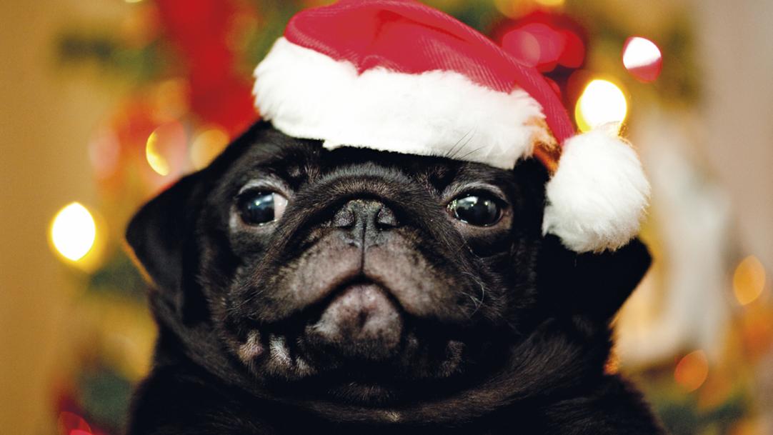 What do teachers want for Christmas? Kindness