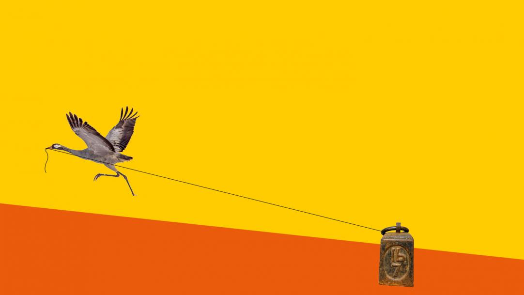 Why telling students to make more effort is pointless