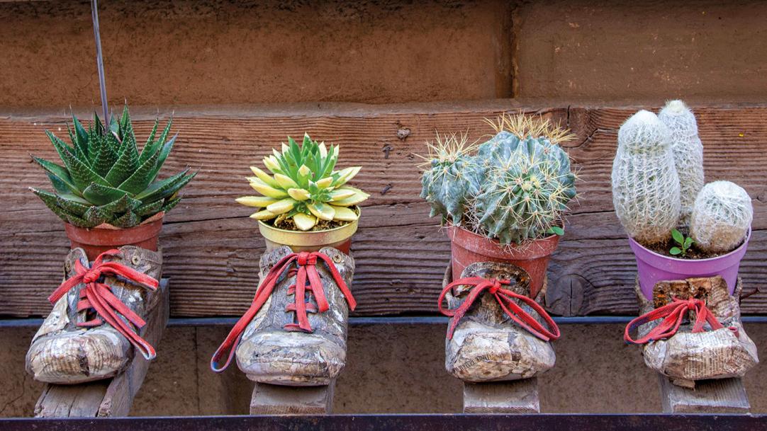 How schools can stretch their shoestring budgets