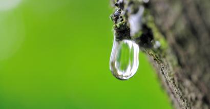 Water drop, hanging off a rock