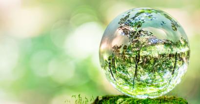 Ecology & Ecosystems: Vital Connections In The World Around Us