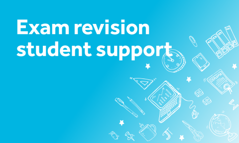 Revision support
