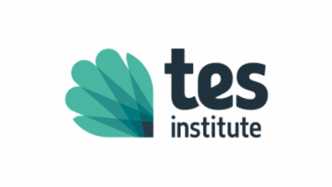 Tes Institute logo