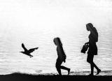 Outdoor learning can benefit pupils who have negative attitudes towards learning in the classroom
