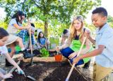 Has any teacher really mastered outdoor learning?