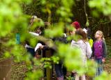 Children in nature taking part in an activity