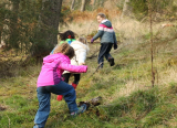 Outdoor learning: Fairfield Primary School in Cumbria, Tes' Healthy School of the Year 2019