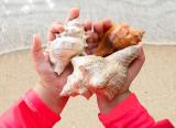 Coronavirus: How outdoor learning can help schools to maintain social distancing