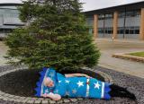 This college teacher dresses up as a Christmas tree, snowman and cracker to spread festive cheer among her learners