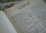 News article image