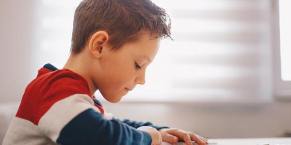 Scottish parliament election picture